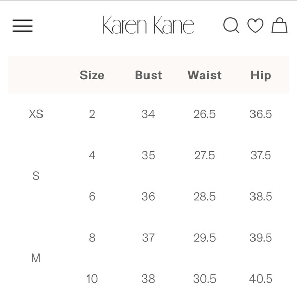 NWT leopard midi skirt Karen Kane - Picture 5 of 5